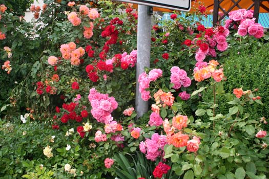 Fahrradtour 088