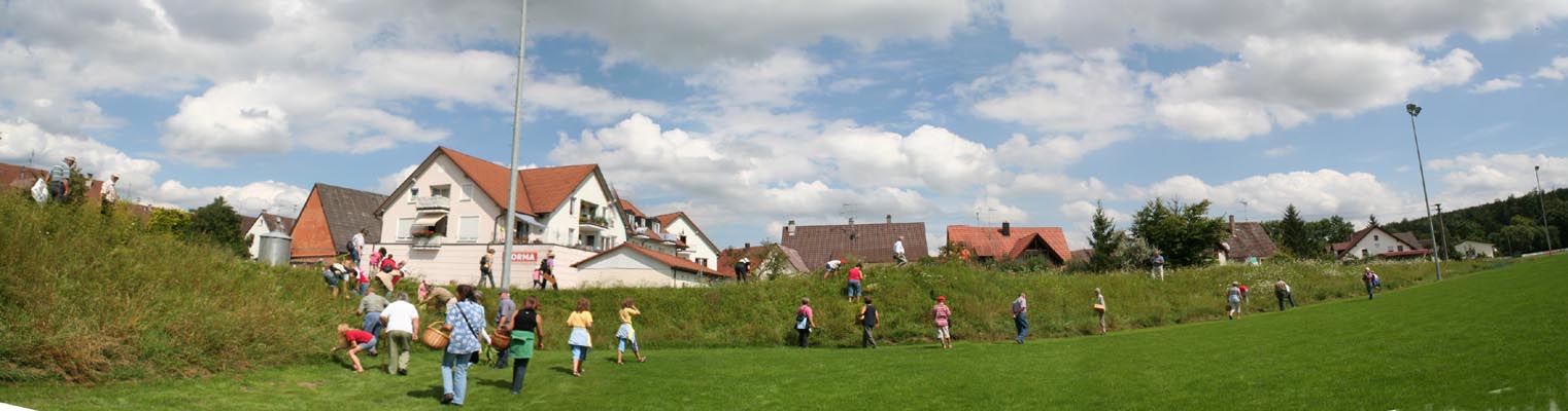 weihbuschel07