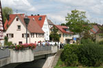 weihbuschel06