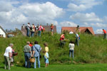 weihbuschel09
