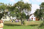 weihbuschel12
