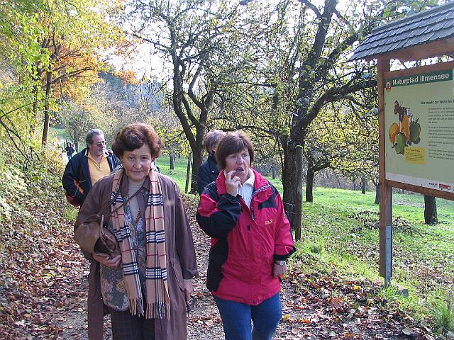 Rund um den Illmensee