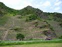 0905mosel_vortour_024