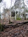 130320senioren_donautal005