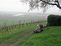 130421bluetenwanderung01a_021