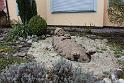 130421bluetenwanderung01b_044