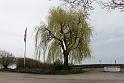 130421bluetenwanderung01b_049