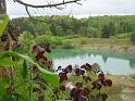 130512ehingen016