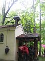 130512ehingen028