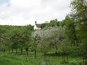 130512ehingen052