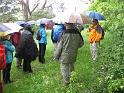 130531nagoldtal02_010