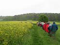 130531nagoldtal02_014