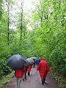 130531nagoldtal02_031