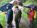 130531nagoldtal02_033