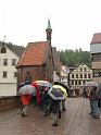 130601nagoldtal04_050