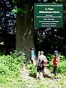 130616heuneburg054