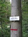 130719abendwanderung019