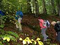 130915schwarzer_grat016