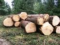 130915schwarzer_grat048