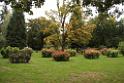 131010anreise078