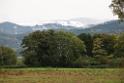131010staufen006