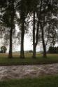 131010staufen009