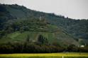 131010staufen011