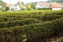 131010staufen028