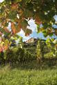 131010staufen122