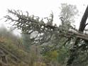 131011belchen055