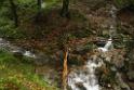 131011belchen112