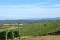 131013batzenberg007a