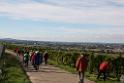 131013batzenberg057