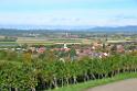 131013batzenberg073a
