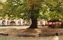 131013heitersheim070