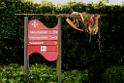131013sulzbach_straussi000