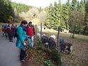 131109_strassberg (14)