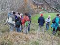131109_strassberg (32a)