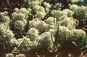 131120senioren_abschluss023