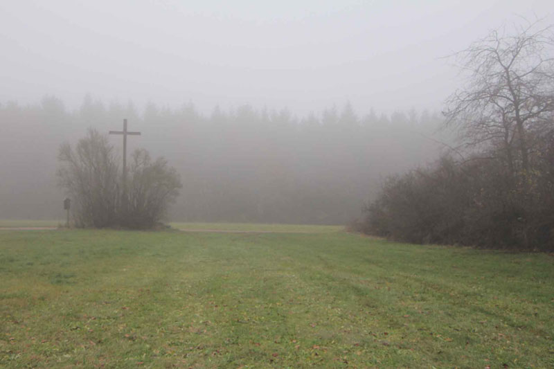 Novembernebel auf dem Stauden