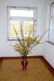 180408schloessle017a