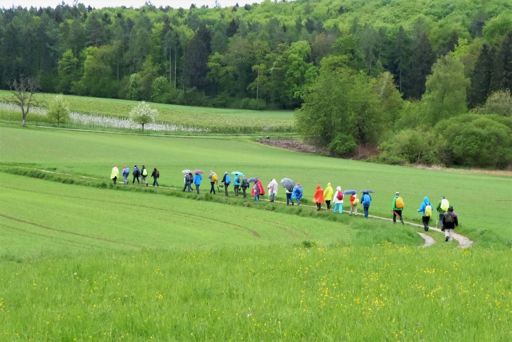 190427bluetenwanderung01_wome033.JPG