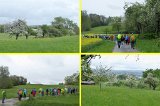 190427bluetenwanderung01_wome023a