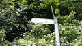 210620_zwiefalten (05)
