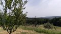 210620_zwiefalten (17)