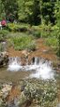 210620_zwiefalten (18)