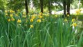 210620_zwiefalten (21)