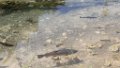 210620_zwiefalten (23)