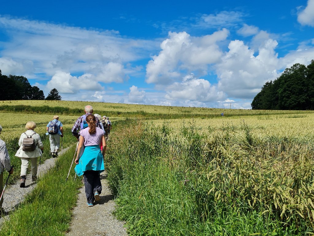 210711morgenwanderung_blitzenreute30.jpg - Weiter ging die Wanderung zum ....