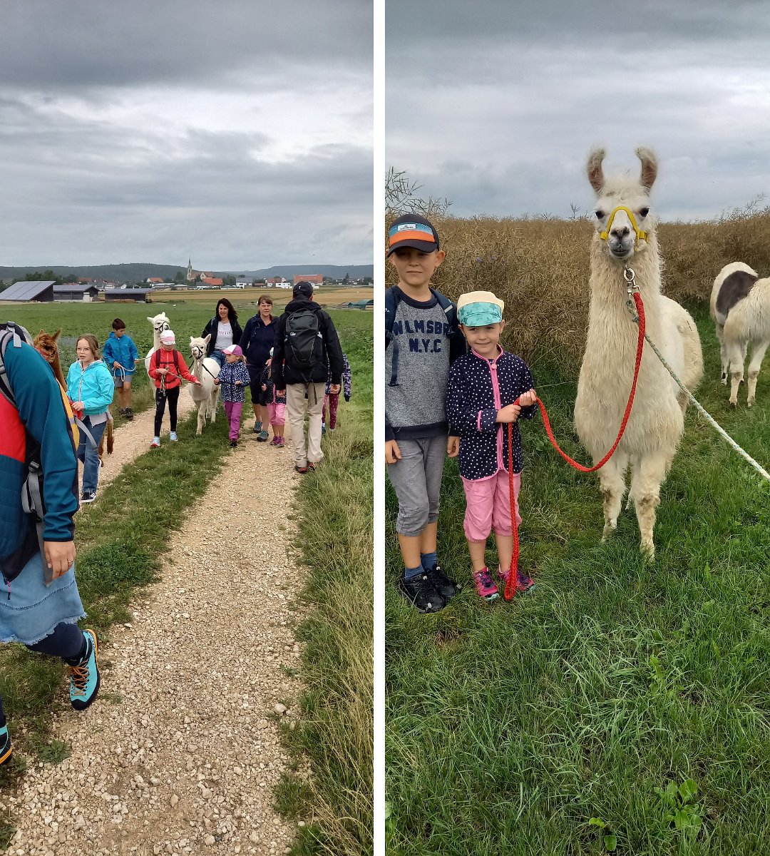 230728kindersommer-alpakawanderung07a.jpg